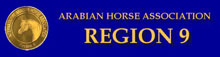 Region IX - Arkansas, Oklahoma, Texas and Lousiana Arabian Horse Associations